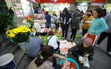 Đa dạng các 